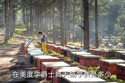 在美度学爵士舞大概学费是多少