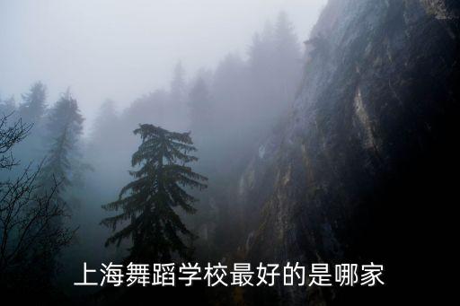 上海市舞蹈学校怎么样，上海舞蹈学校最好的是哪家