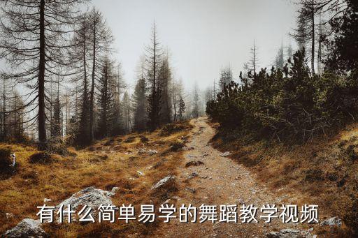 有什么简单易学的舞蹈教学视频