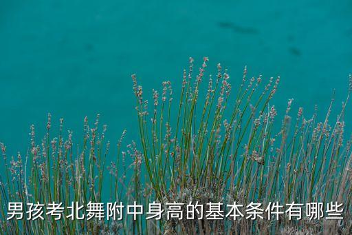 男孩考北舞附中身高的基本条件有哪些