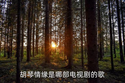 胡琴情缘是哪部电视剧的歌
