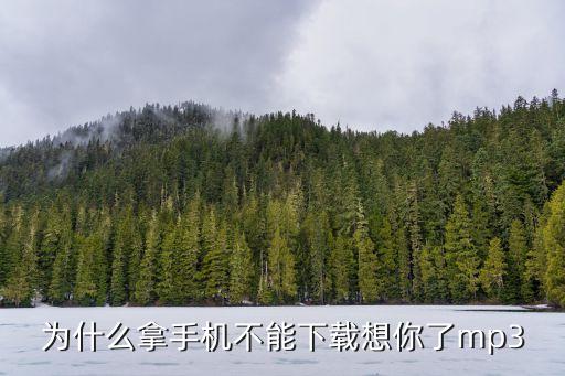 为什么拿手机不能下载想你了mp3