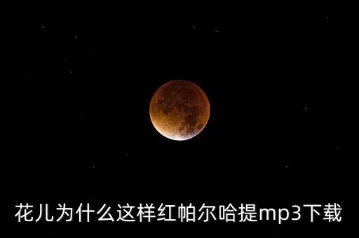 花儿为什么这样红帕尔哈提mp3下载