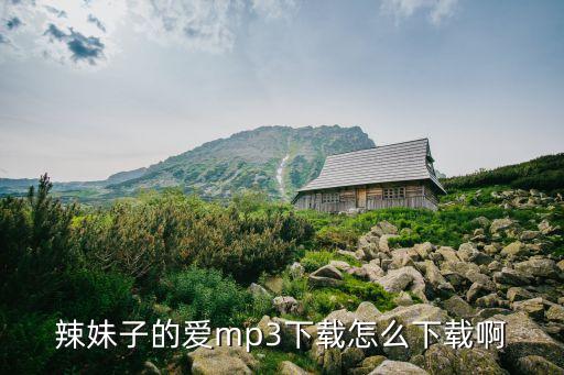 辣妹子的爱mp3下载怎么下载啊