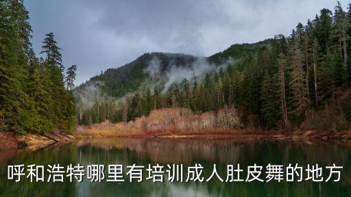 呼和浩特哪里有培训成人肚皮舞的地方