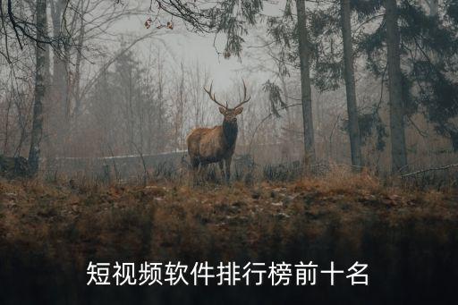短视频软件排行榜前十名