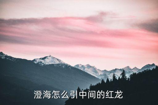 网红龙姑广场舞人简介，红龙国际mmm注册流程红龙国际mmm如何做好