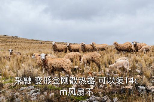 采融 变形金刚散热器 可以装14cm风扇不