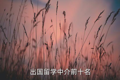 最靠谱的留学中介排名，出国留学中介前十名