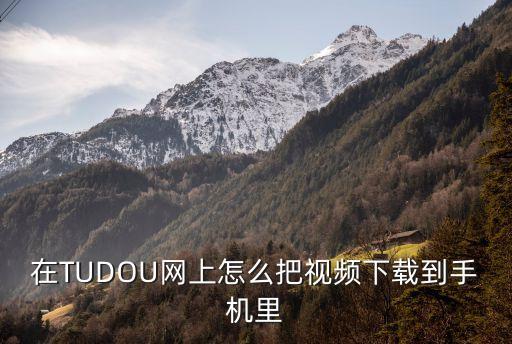 在TUDOU网上怎么把视频下载到手机里