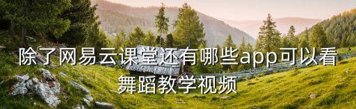 看跳舞视频的网站有哪些，有哪些比较好的舞蹈视频网站