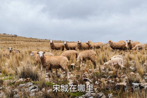 宋城在哪里