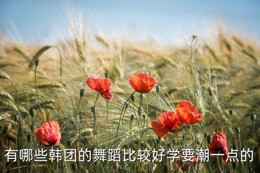 有哪些韩团的舞蹈比较好学要潮一点的