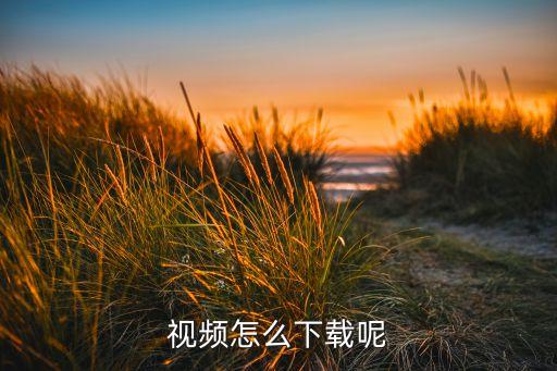 视频怎么下载呢