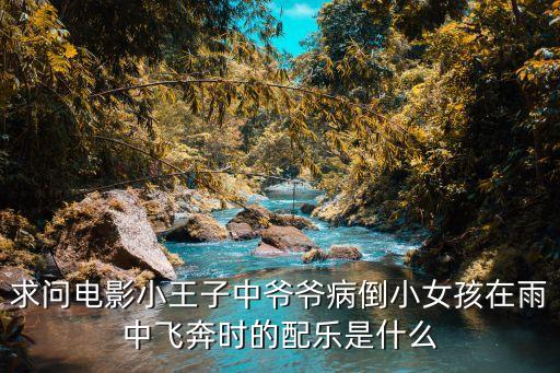 求问电影小王子中爷爷病倒小女孩在雨中飞奔时的配乐是什么