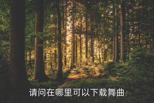 请问在哪里可以下载舞曲