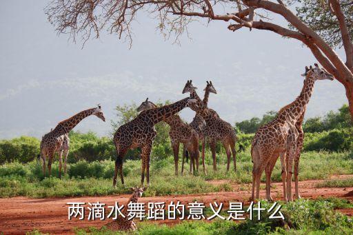 望雨舞蹈讲的什么意思，舞蹈望雨的情感是怎样的