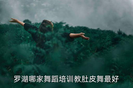 罗湖哪家舞蹈培训教肚皮舞最好