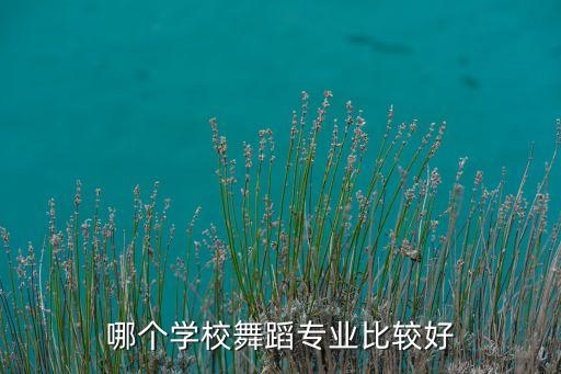 哪个学校舞蹈专业比较好