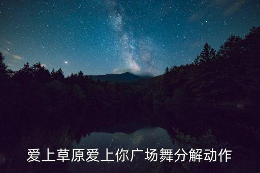 爱上草原爱上你广场舞分解动作