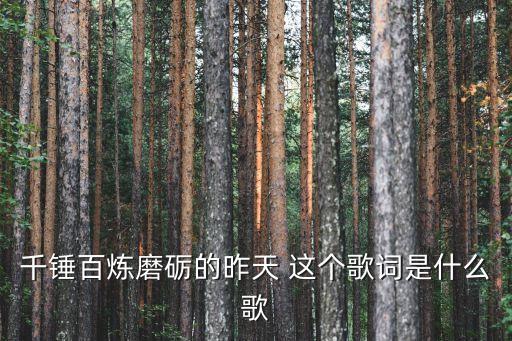 爱你流过多少泪广场舞蝶依，唐薇爱你流过多少泪求歌词