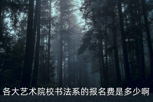 各大艺术院校书法系的报名费是多少啊