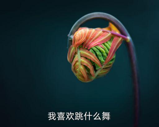 我喜欢跳什么舞