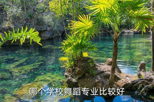 舞蹈专业院校排名和分数线，有哪些比较好的舞蹈学专业大学