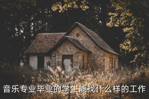 学音乐艺考以后能做什么工作，音乐生毕业之后能找什么工作