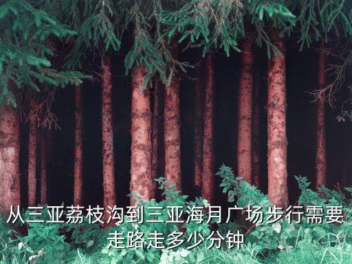 三亚月色广场怎么走，从三亚荔枝沟到三亚海月广场步行需要走路走多少分钟