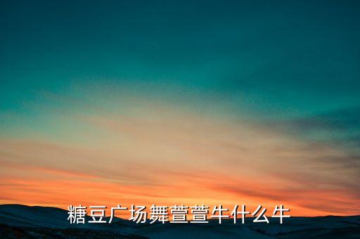 糖豆广场舞萱萱牛什么牛
