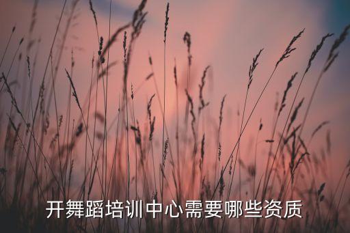 开舞蹈培训中心需要哪些资质