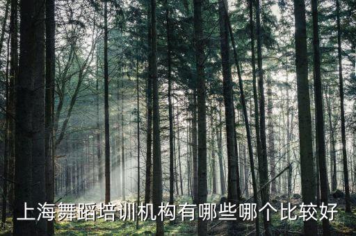 上海舞蹈培训机构有哪些哪个比较好