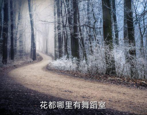 花都哪里有广场舞，广州花都哪里有跳街舞的地方