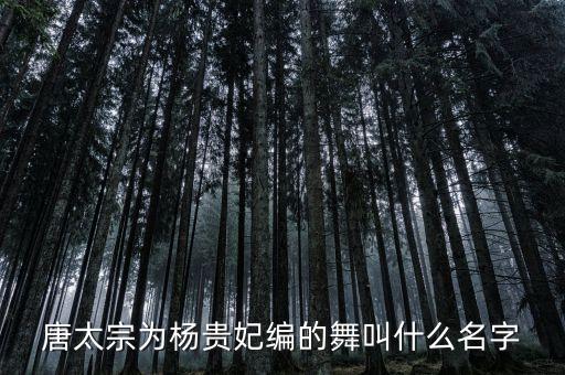 唐太宗为杨贵妃编的舞叫什么名字