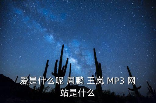 爱是什么呢 周鹏 王岚 MP3 网站是什么