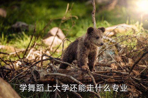 舞蹈本科专业分为，学舞蹈上大学还能走什么专业