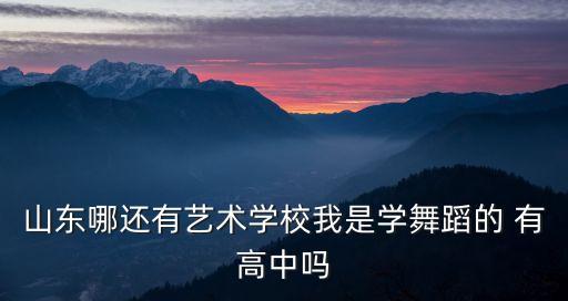 山东哪还有艺术学校我是学舞蹈的 有高中吗