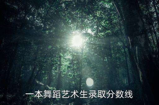 一本舞蹈艺术生录取分数线