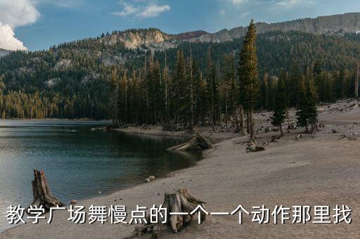 教学广场舞慢点的一个一个动作那里找