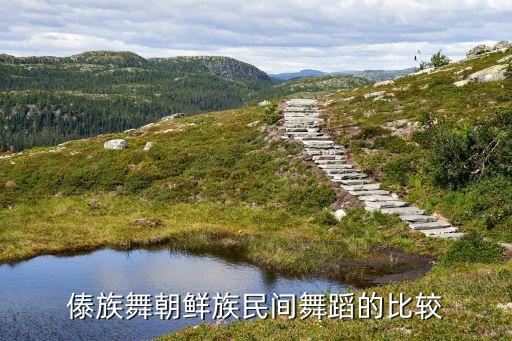 傣族舞朝鲜族民间舞蹈的比较