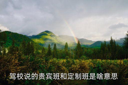 驾校说的贵宾班和定制班是啥意思