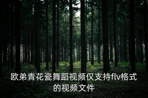 欧弟青花瓷舞蹈视频仅支持flv格式的视频文件