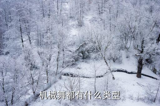机械舞都有什么类型