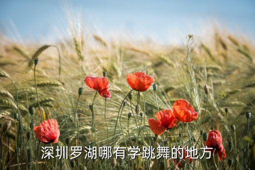 深圳罗湖哪有学跳舞的地方