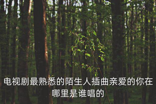 电视剧最熟悉的陌生人插曲亲爱的你在哪里是谁唱的