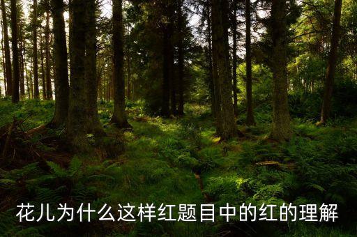 舞蹈花儿为什么这样红赏析，你们怎样理解花儿为什么这样红