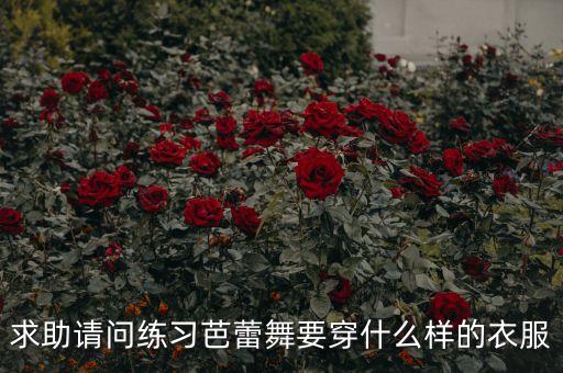求助请问练习芭蕾舞要穿什么样的衣服