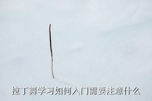 新手如何学好拉丁舞，拉丁怎样才能学好