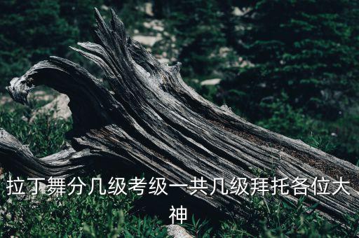 拉丁舞分几级考级一共几级拜托各位大神